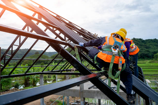 Best Roof Gutter Cleaning  in Buena, NJ