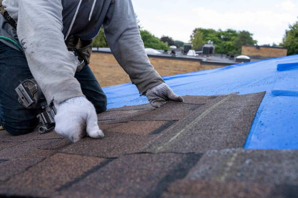 Best Roof Restoration Services  in Buena, NJ