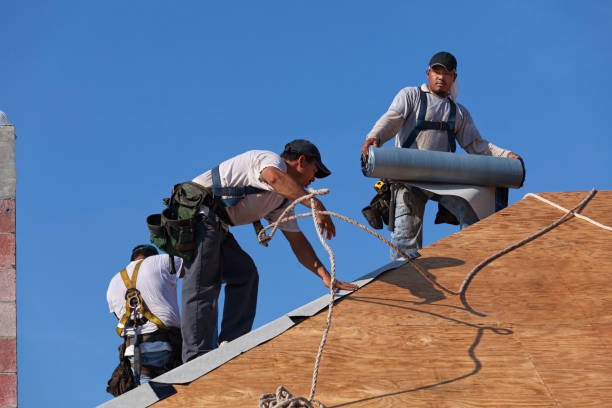 Best Commercial Roofing Services  in Buena, NJ